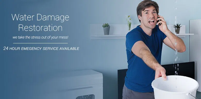 #bslide1 logo-image - banner-1-v2-wgr-14