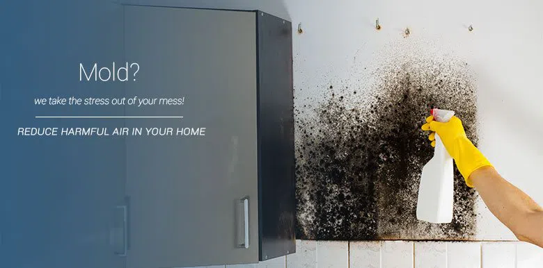 #bslide2 logo-image - banner-2-v2-wgr-14