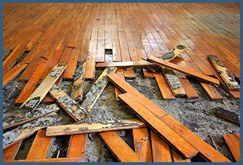 North Miami Beach Emergency Restoration North Miami Beach, FL 786-361-3944 North Miami Beach Emergency Restoration North Miami Beach, FL 786-361-3944