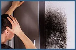 North Miami Beach Emergency Restoration North Miami Beach, FL 786-361-3944 North Miami Beach Emergency Restoration North Miami Beach, FL 786-361-3944 - sid-mold-v2-wgr-14